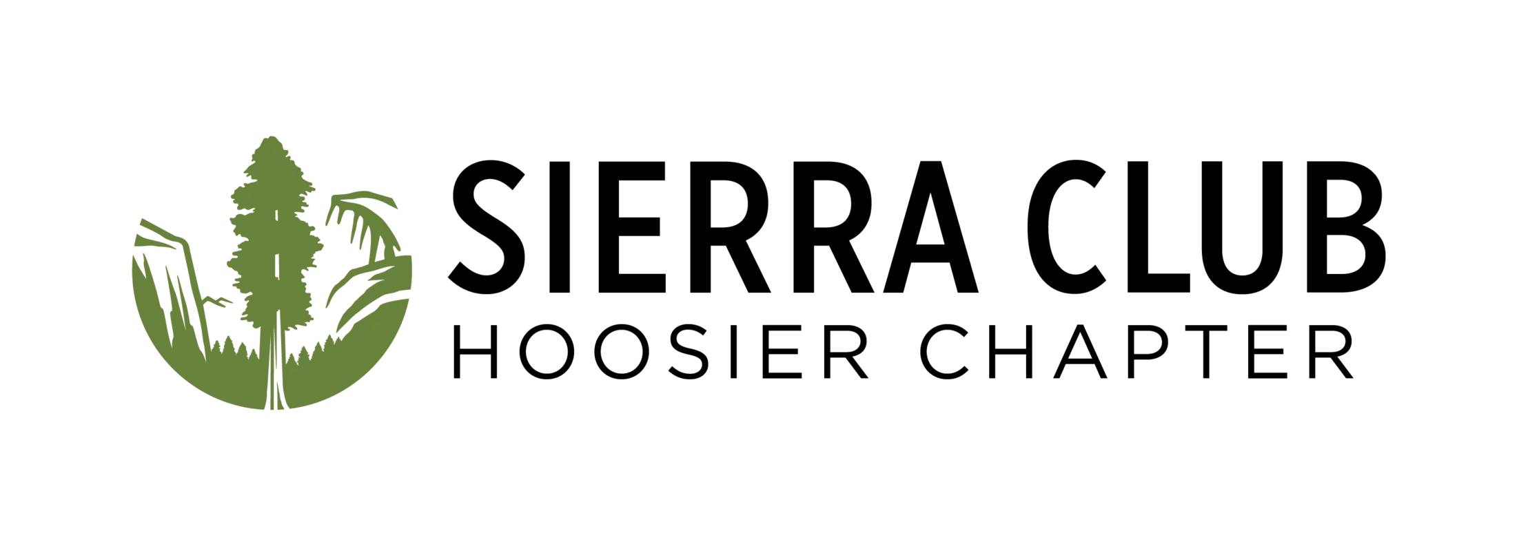Green abstract leaf logo on a black background, centered left.